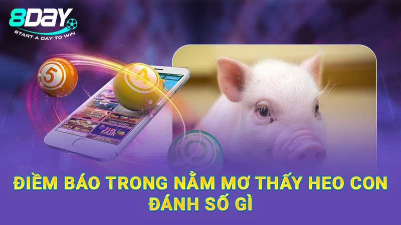 Điềm báo trong nằm mơ thấy heo con đánh số gì